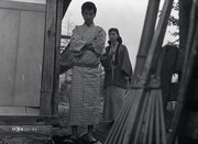 「青春前期 青い果実」 (c)日活