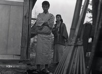 「青春前期 青い果実」 (c)日活