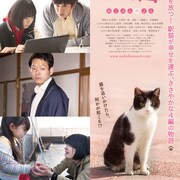 4人の若手監督が1匹の猫を軸につなぐオムニバス「4/猫-ねこぶんのよん-」