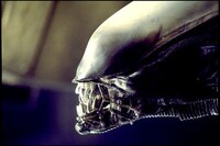 「エイリアン」 Alien (c) 1979 Twentieth Century Fox Film Corporation. All Rights Reserved. (c) 2015 TWENTIETH CENTURY FOX FILM CORPORATION INC. ALL RIGHTS RESERVED.