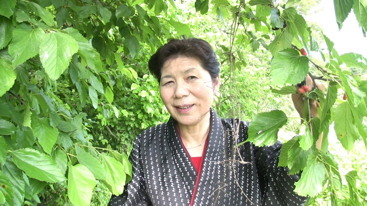 「波伝谷に生きる人びと」