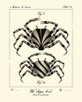 「Bad Dads VI」展示品 (c)Tracie Ching