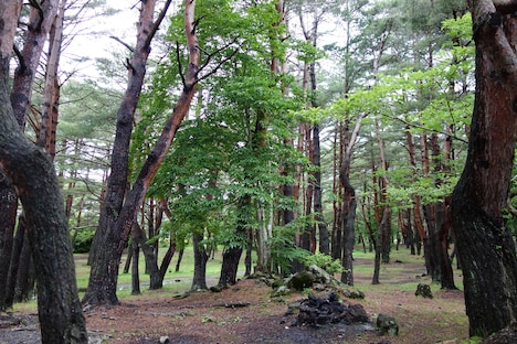 「湖畔の映画祭」会場イメージ