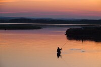 「さかなかみ」