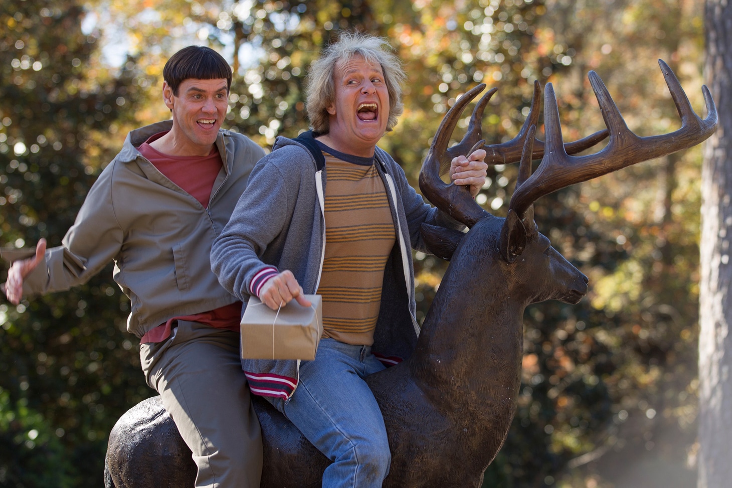「Dumb and Dumber To（原題）」 (c)2014 DDTo Finance, LLC