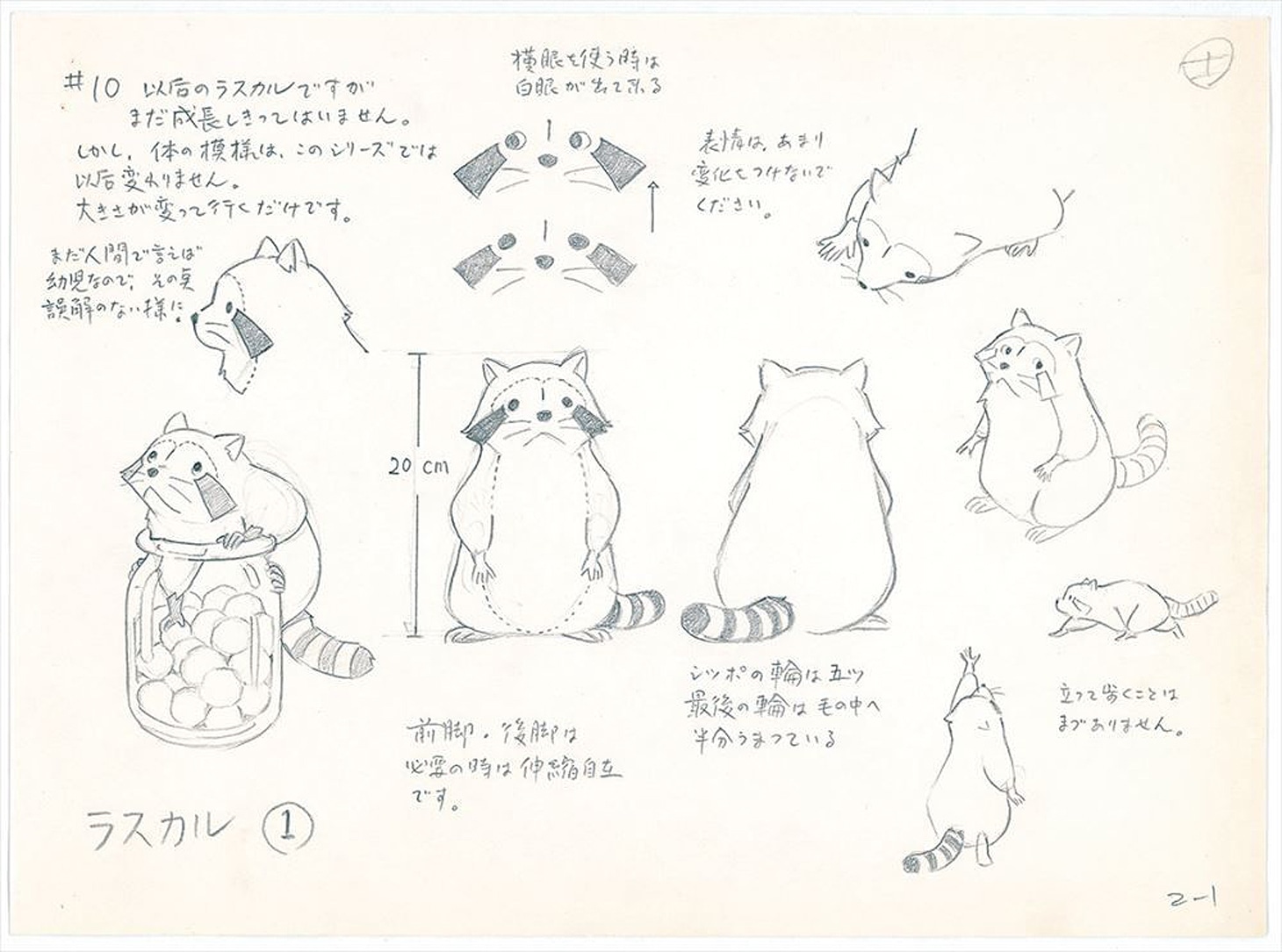 「あらいぐまラスカル」キャラクター設定画 (c) NIPPON ANIMATION CO., LTD.