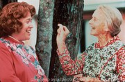 「フライド・グリーン・トマト」 (c)1991 FRIED GREEN TOMATOES PRDUCTIONS. ALL RIGHTS RESERVED.