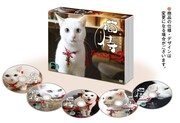 ドラマ「猫侍 SEASON2」DVD BOX展開図 (c)2015「続・猫侍」製作委員会