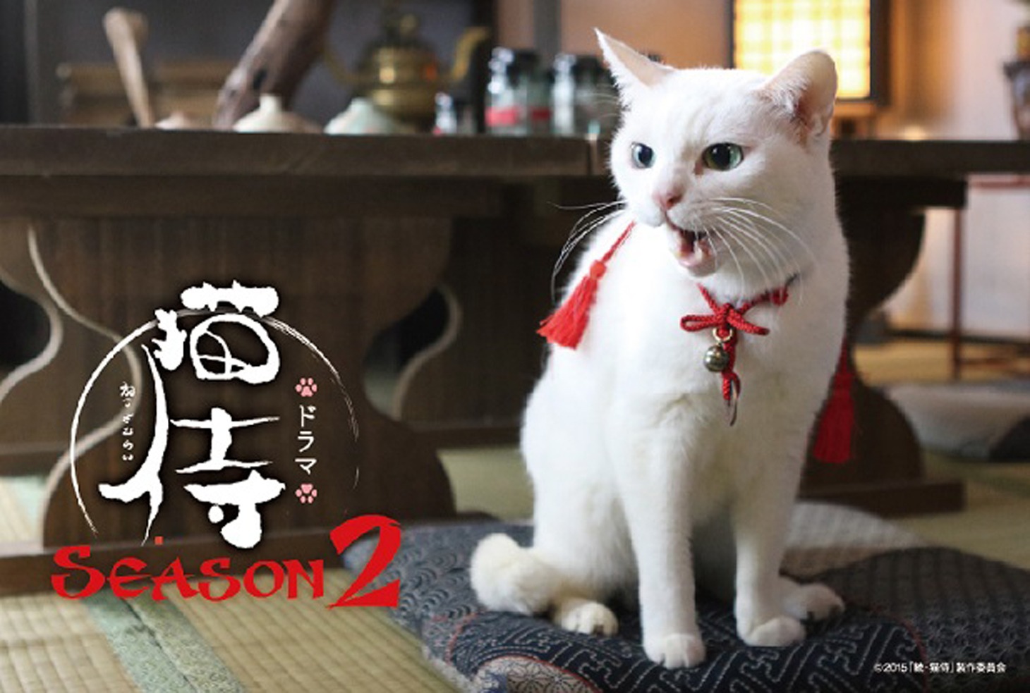 ポストカード (c)2015「続・猫侍」製作委員会