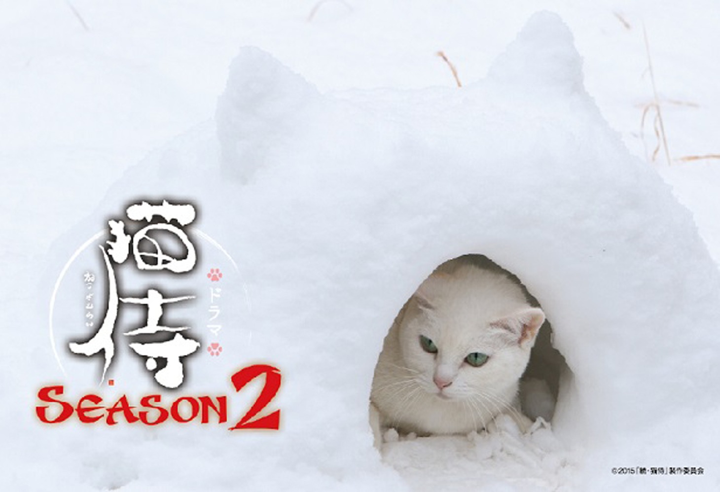 ポストカード (c)2015「続・猫侍」製作委員会