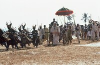 「コブラ・ヴェルデ 緑の蛇」 (c)WERNER HERZOG FILM