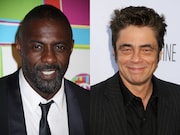 ハーモニー・コリン、新作はI・エルバとB・デル・トロ共演の“暴力的復讐譚”