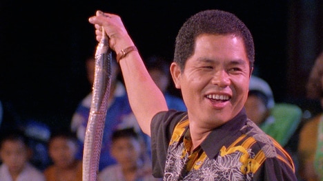 「旅するパオジャンフー」 (c)1995 Sony PCL Inc.