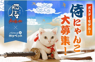 「猫侍」×「パシャッとmyぺっと」フォトコン (c)2015「続・猫侍」製作委員会