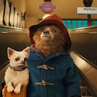 「パディントン」特報映像、紳士なクマがひょっこりと初お目見え