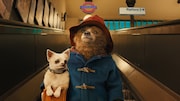 「パディントン」 (c)2014 STUDIOCANAL S.A.  TF1 FILMS PRODUCTION S.A.S Paddington Bear TM, Paddington TM AND PB TM are trademarks of Paddington and Company Limited