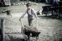 「ふたつの名前を持つ少年」 (c)2013 Bittersuess Pictures