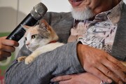 ピエール瀧によって「けっこうお客さん入ってんな」と心情を推測された三毛猫ドロップ。