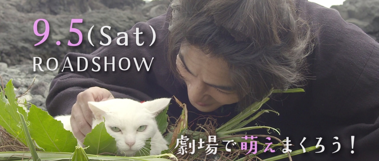 「猫侍 南の島へ行く」劇場マナーCM (c)2015「続・猫侍」製作委員会