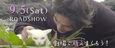 「猫侍 南の島へ行く」劇場マナーCM (c)2015「続・猫侍」製作委員会