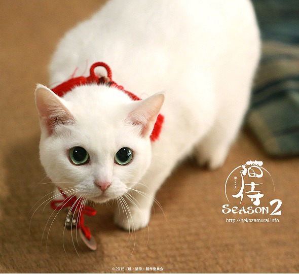 「猫侍 SEASON2」  (c)2015「続・猫侍」製作委員会