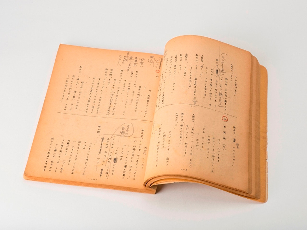 日本画　志村喬直筆 shimura_exhibition_20150813_03