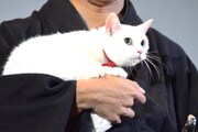 あなご