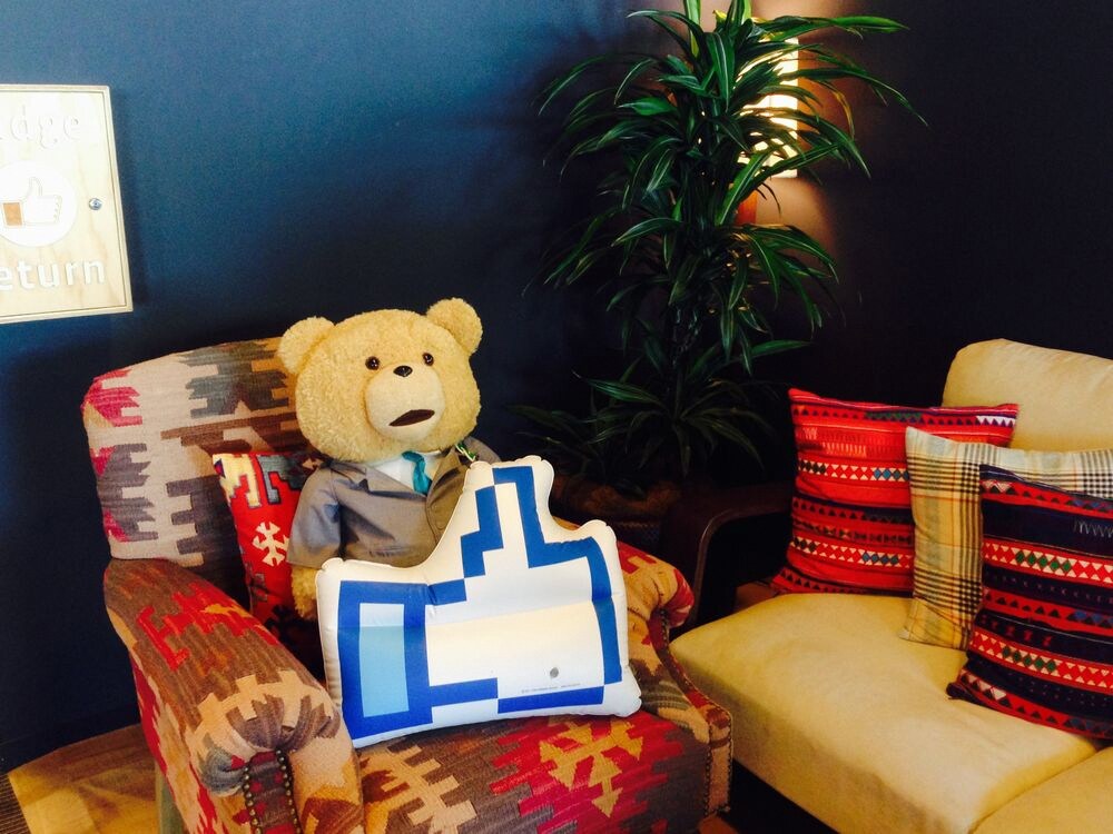 テッドが「超面白い質問にしか答えない」、クマ史上初のリアルタイムQ&A実施