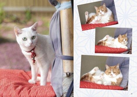 「玉之丞とゆかいな仲間たち」 (c)KADOKAWA CORPORATION 2015