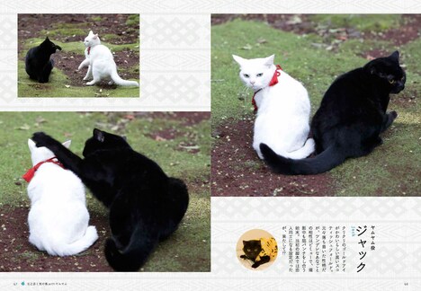 「玉之丞とゆかいな仲間たち」 (c)KADOKAWA CORPORATION 2015