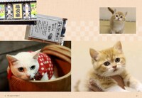 「玉之丞とゆかいな仲間たち」 (c)KADOKAWA CORPORATION 2015