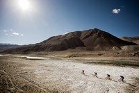 「Forgotten Dirt」 (c)Colin Jones, Darcy Wittenburg, Ian Dunn