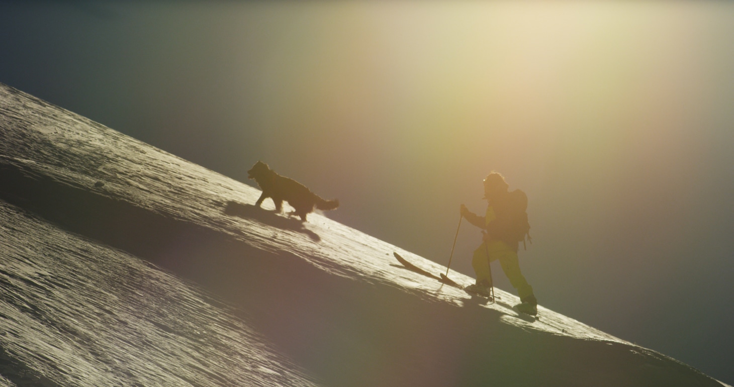 「Sun Dog」 (c)Ben Sturgulewski