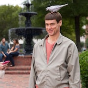 ジム・キャリーが最強のバカ役で原点回帰、「Mr.ダマー」続編が今秋公開