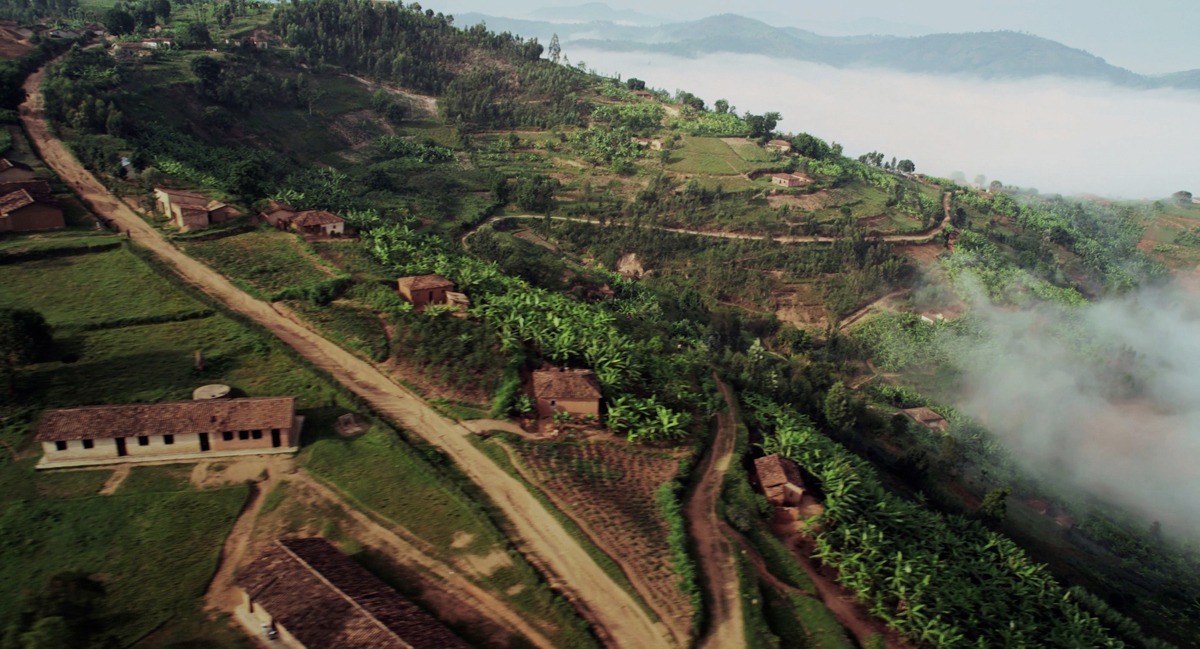 「A Film About Coffee ア・フィルム・アバウト・コーヒー」 (c)2014 Avocados and Coconuts.