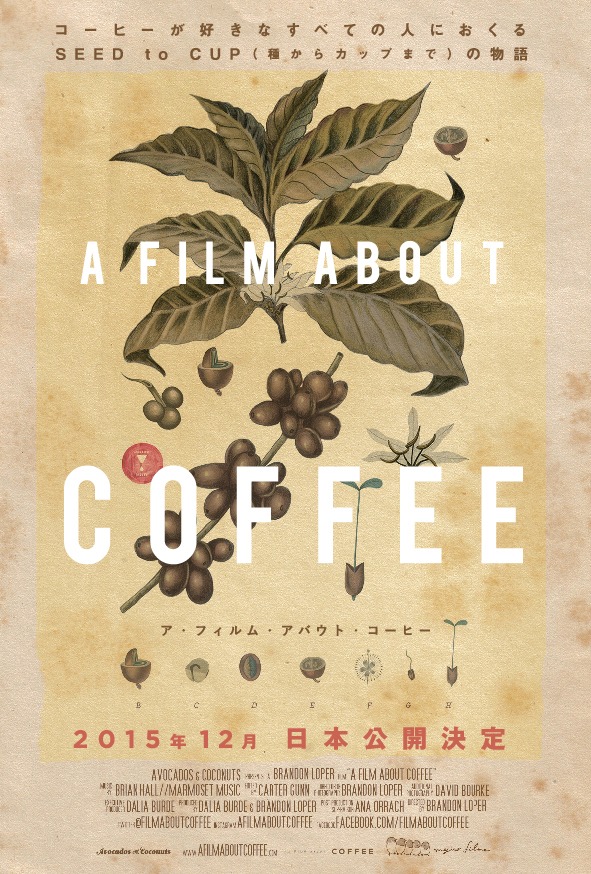 「A Film About Coffee ア・フィルム・アバウト・コーヒー」ティザーチラシ (c)2014 Avocados and Coconuts.