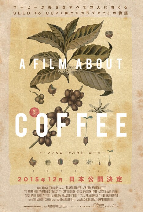 「A Film About Coffee」ティザーチラシ (c)2014 Avocados and Coconuts.