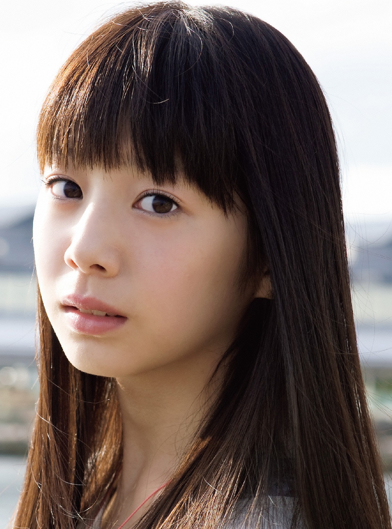 夏帆
