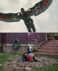 「アントマン」にアベンジャーズのファルコン登場、極小ヒーローとガチンコバトル