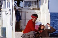 「魚影の群れ」 (c)1983松竹株式会社