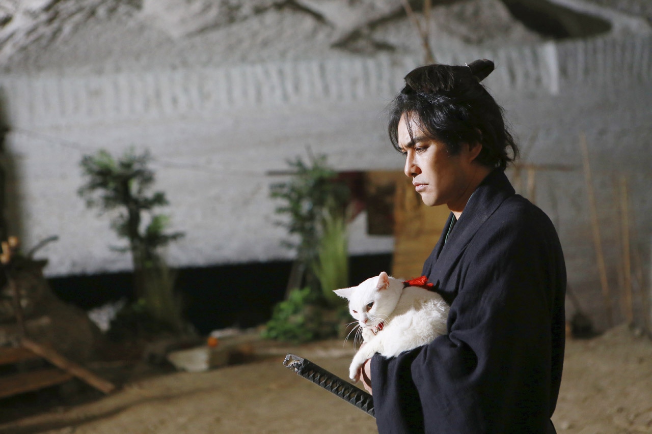「猫侍 南の島へ行く」 (c)2015「続・猫侍」製作委員会