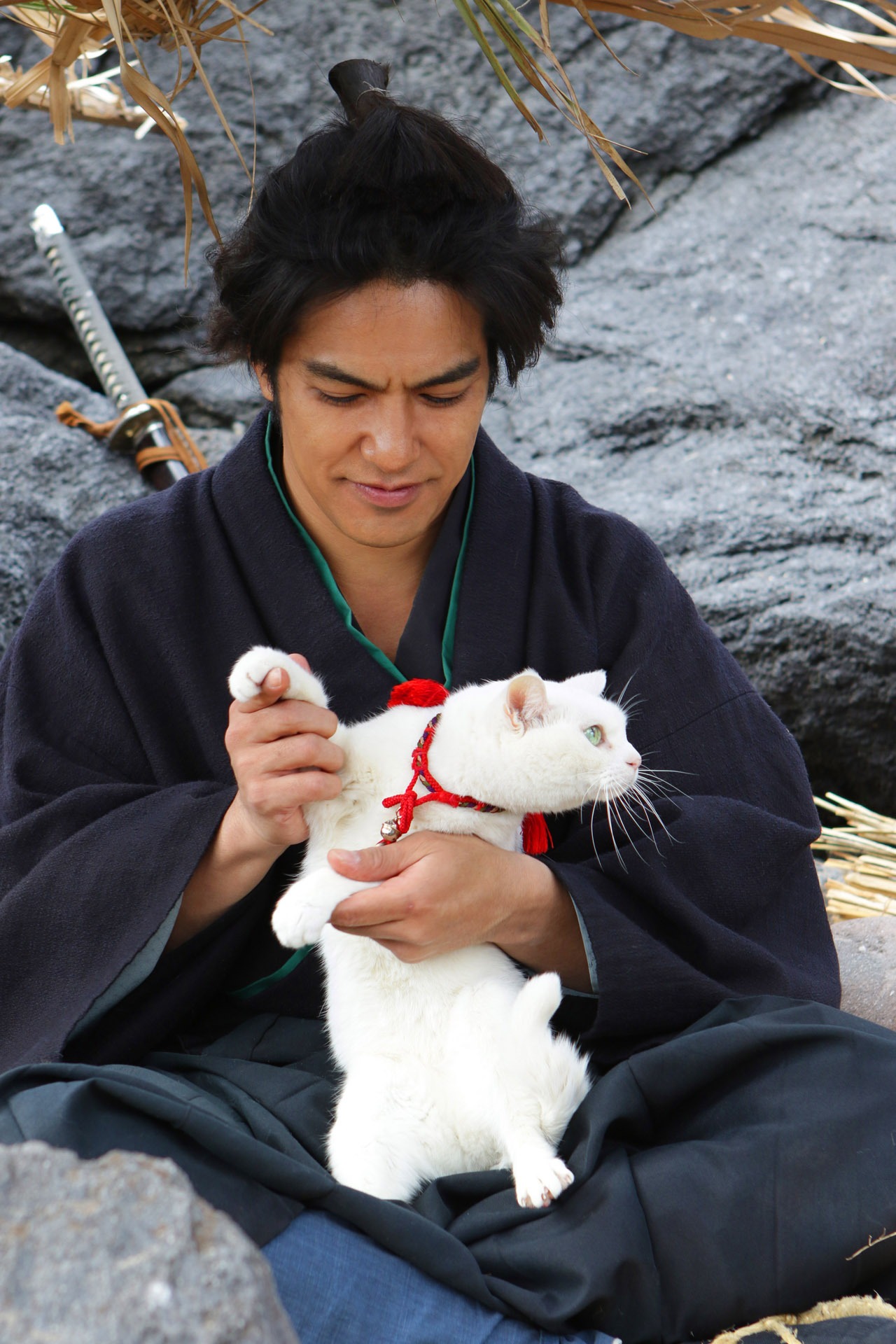 「猫侍 南の島へ行く」 (c)2015「続・猫侍」製作委員会