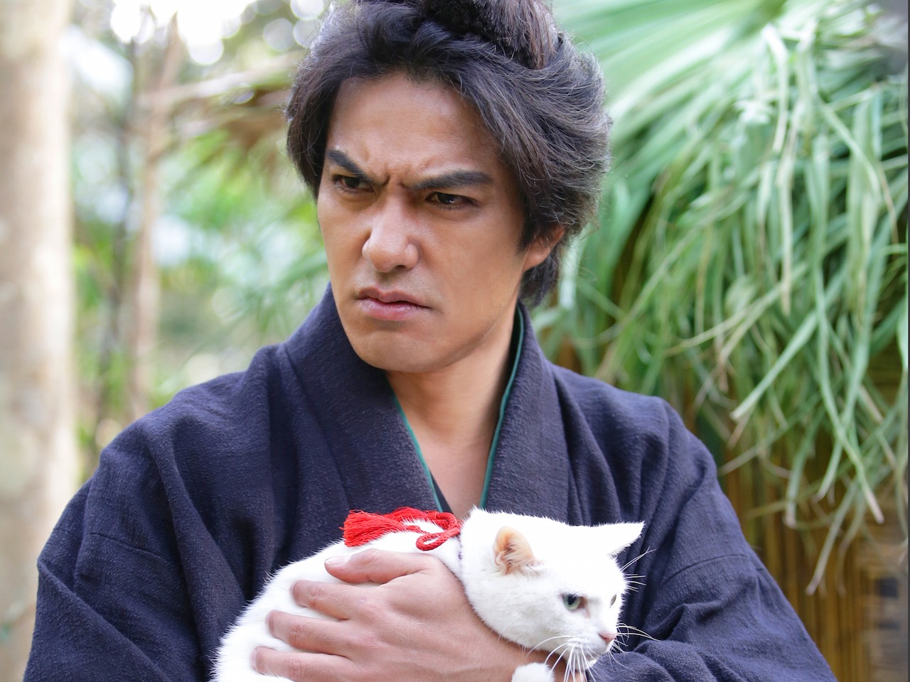 「猫侍 南の島へ行く」 (c)2015「続・猫侍」製作委員会