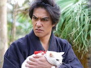 「猫侍 南の島へ行く」 (c)2015「続・猫侍」製作委員会