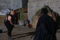 「猫侍 南の島へ行く」 (c)2015「続・猫侍」製作委員会