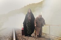 「未熟なざくろ」（イラン / 2014年）