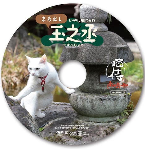 「猫侍 南の島へ行く」入場者プレゼントのDVD「いやし猫DVD まる出し玉之丞」。(c)2015「続・猫侍」製作委員会