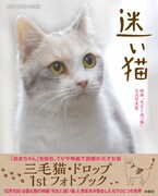 「迷い猫 映画『先生と迷い猫』公式写真集」表紙 （撮影：関由香、中岡美樹）