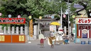 「紙兎ロペ 笑う朝には福来たるってマジっすか!?」 (c)紙兎ロペプロジェクト2015/フジテレビジョン