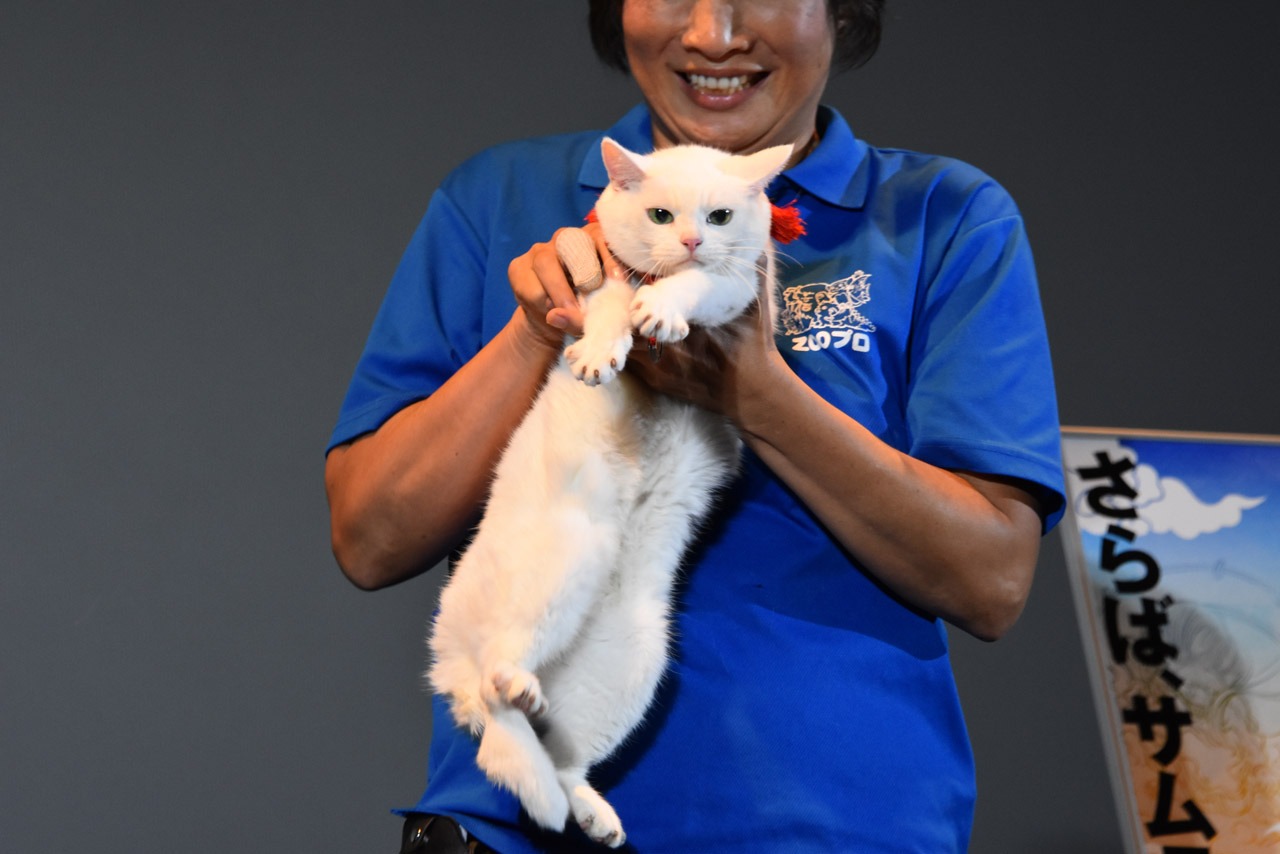 あなご